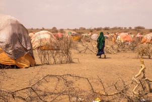 Tak wygląda jeden z obozów dla osób wewnętrznie przesiedlonych w Etiopii.