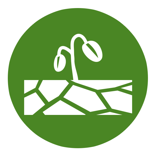 icon etiopia