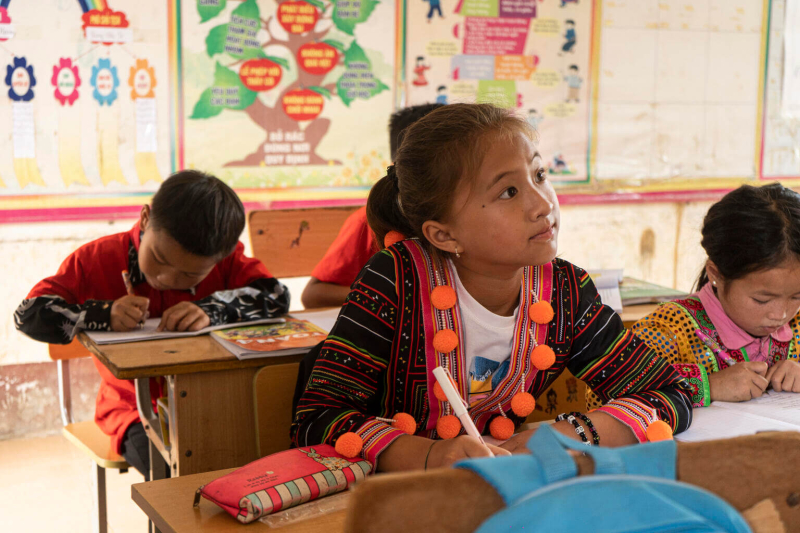 Regiony Gór Północnych, Wyżyny Centralnej i Delty Rzeki Mekong w Wietnamie to obszary najbardziej narażone na skutki zmiany klimatu i katastrofy z tym związane