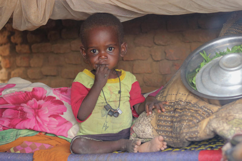 Kartka z kalendarza 1225 - sudan 1