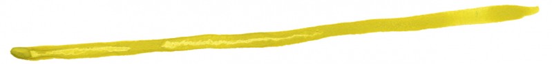 yellow-1.jpg