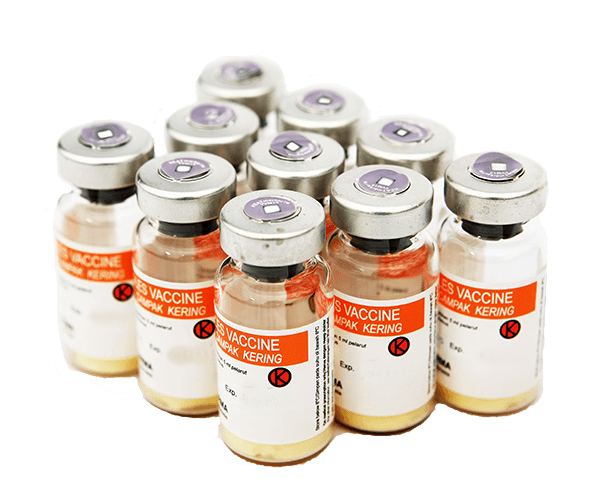 Szczepionka przeciw odrze.png