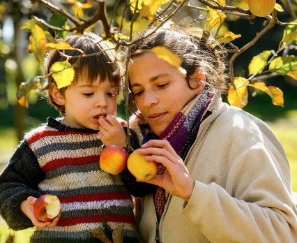 Jak wykształcić zdrowe nawyki żywieniowe u dziecka?
